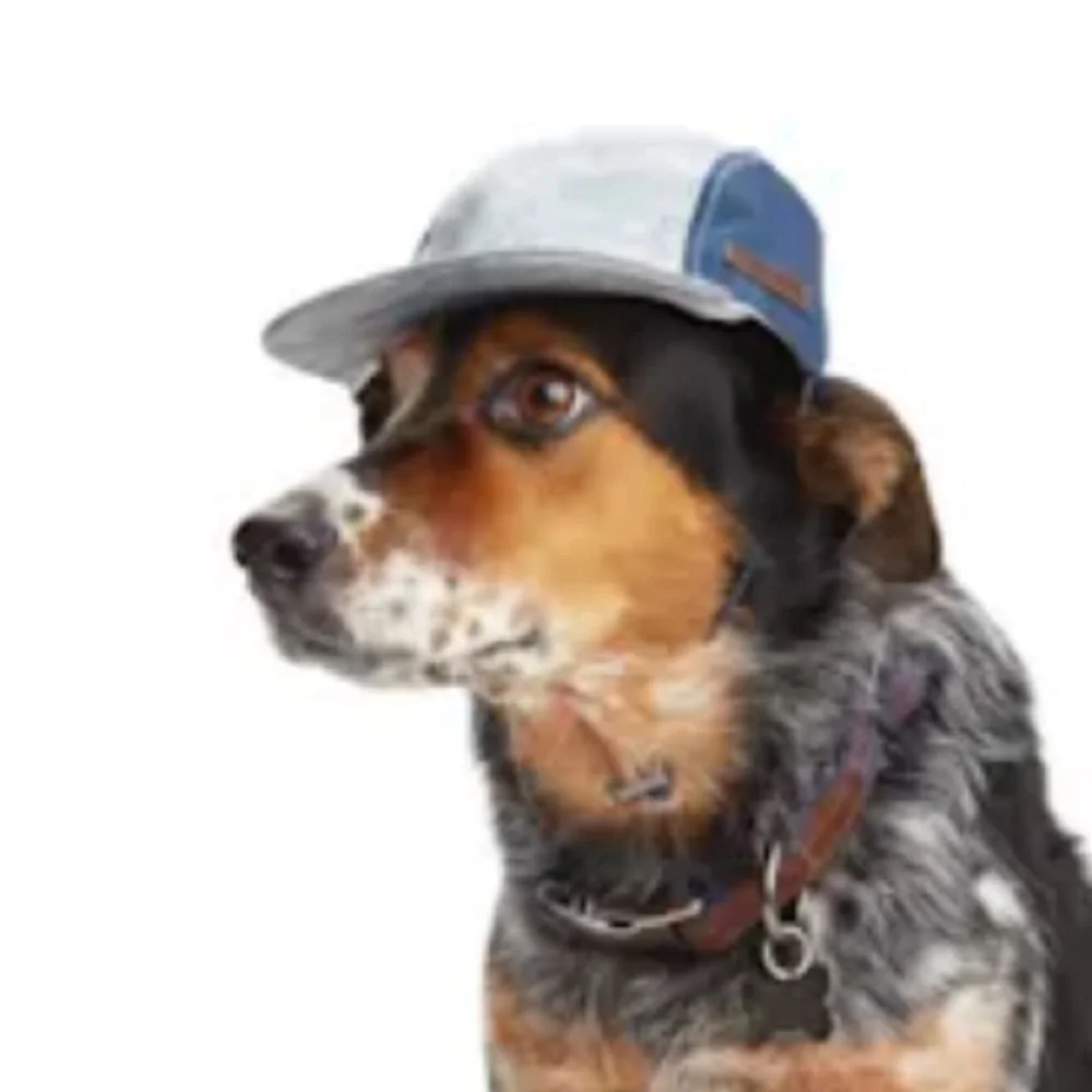 NWT Reddy Dog baseball hat L/XL
